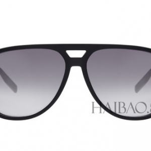 ϰ¡ (Dior Homme) 2013ﶬ̫