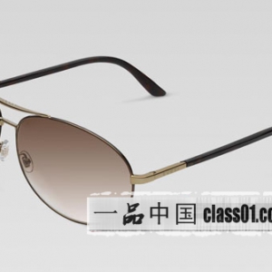 Gucci 2010ʿ̫