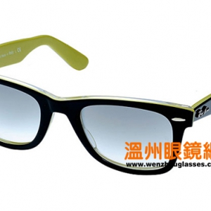 09Ray-Banϵ̫