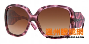 Ferragamo 2009̫