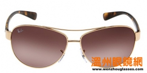 Ray-Ban2008¿۾ϵ