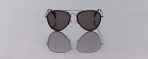 Լ Celine 2012/2013۾ϵ