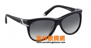 2010Louis Vuitton&Andreϵ̫