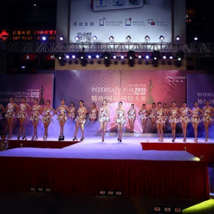 2015ʮĽ쾫ʣģش
