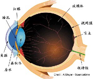 ѡҩˮ֪鱨